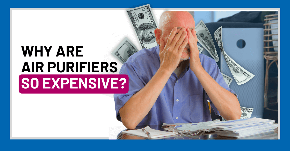 Are Expensive Air Purifiers Worth It? WEDO AIR