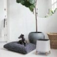 the sqair air purifier in an aesthetic living room next to a black dog