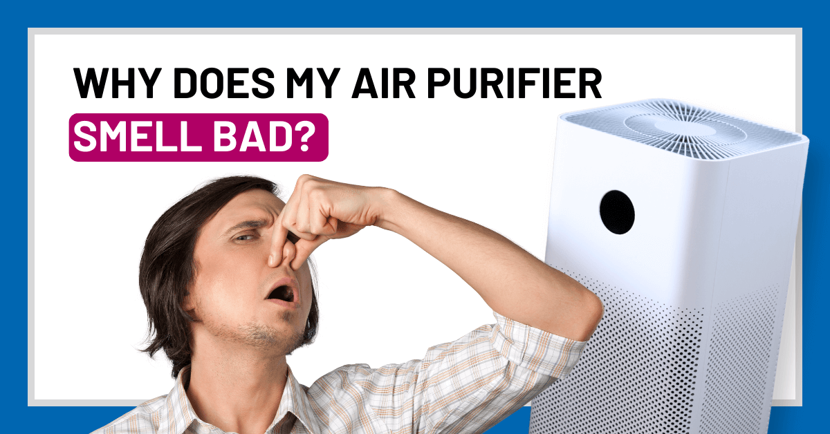 Why Does My Air Purifier Smell Bad Wedo Air 6655