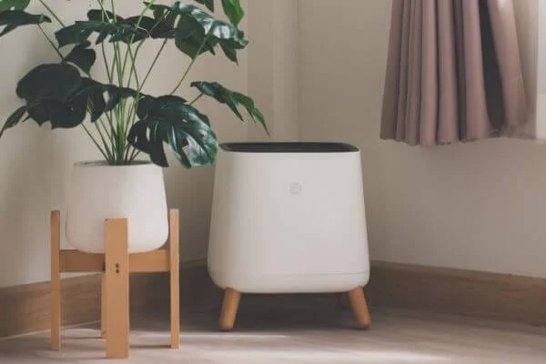 The Sqair in a living room next to a plant