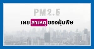 ฝุ่น PM 2.5 เกิดจากอะไร? เจาะลึกสาเหตุ และผลกระทบต่อสุขภาพ