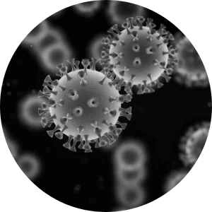 Virus particles on black background