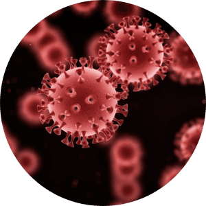 virus particles under the microscope