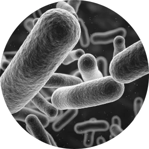 Bacteria particles on black background