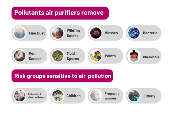 a graphic showing what pollutants air purifiers remove and which risk groups are particularly sensitive to air pollution