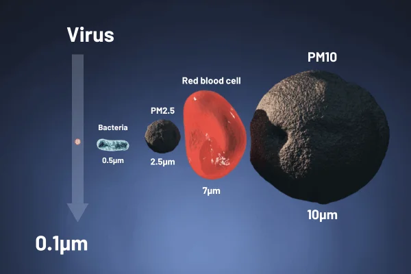 a graphic of the different size of airborne pollutants such as PM2.5, virus, bacteria, red blood cell and PM10