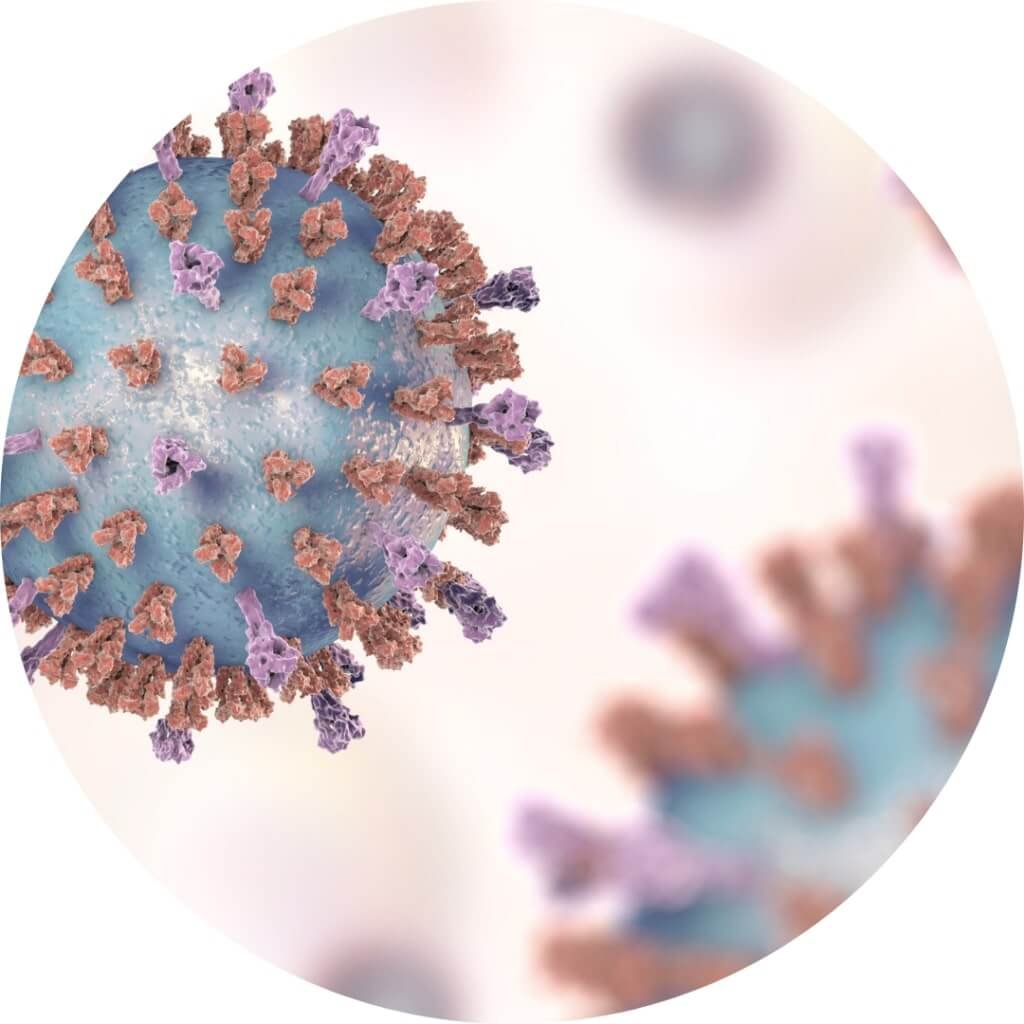 virus